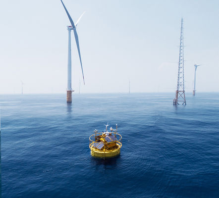 คุณภาพ  Metal Ocean Buoy Wave CTD Profile Current Oceanographic Buoy โรงงาน